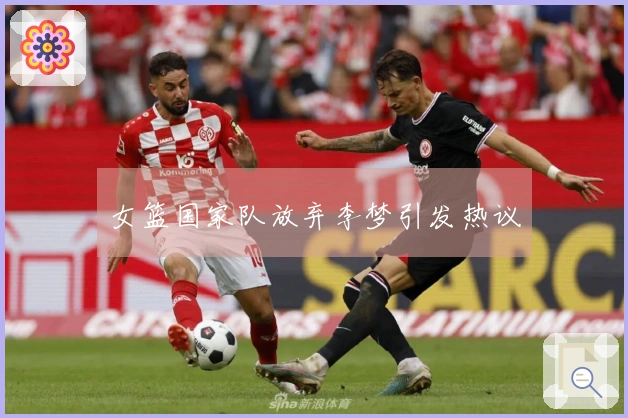 女篮国家队放弃李梦引发热议